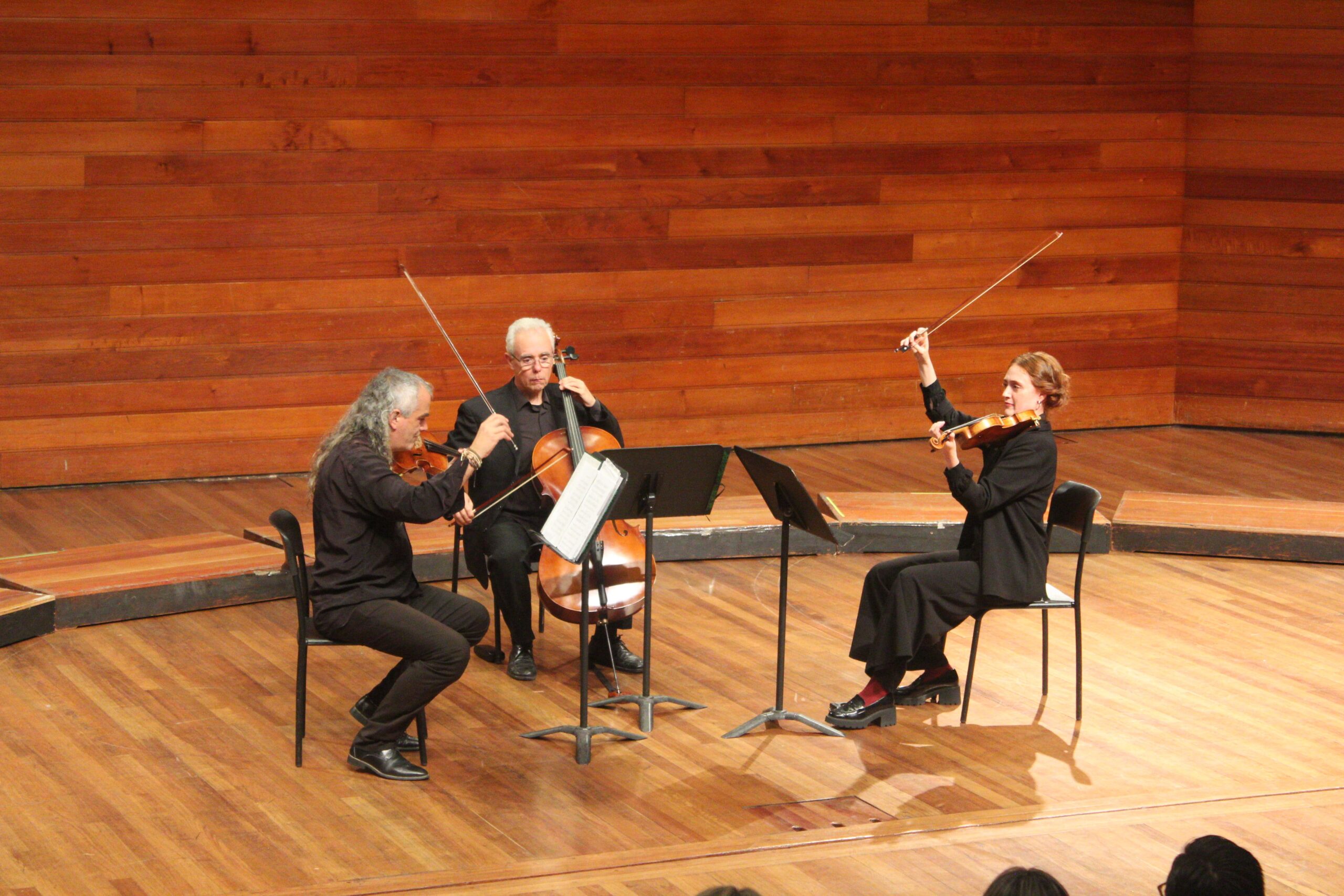 Ensemble pyrene Colombia