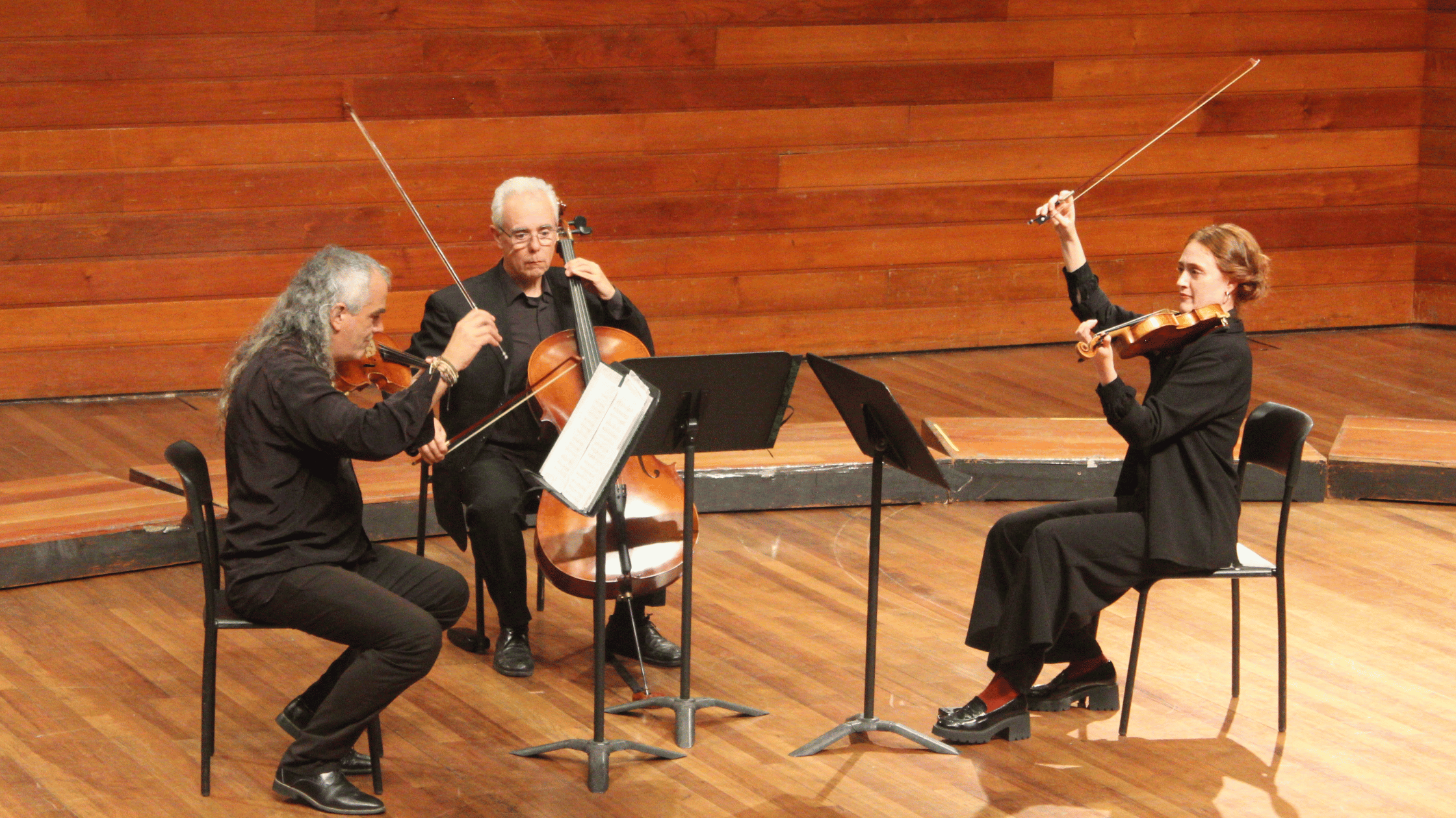 Ensemble Pyrene Colombia